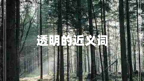 透明的近義詞
