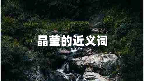 晶瑩的近義詞