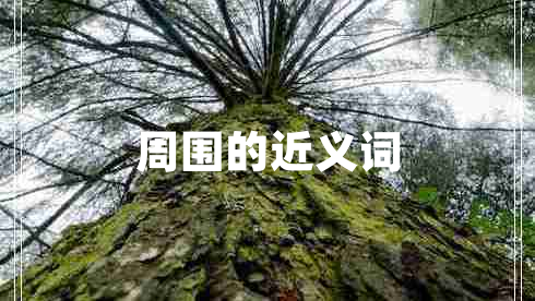 周圍的近義詞