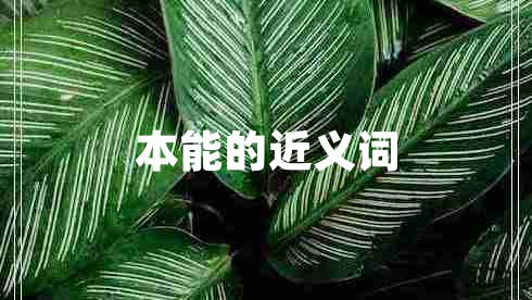 本能的近義詞