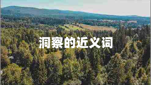 洞察的近義詞