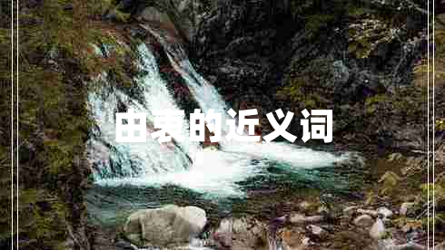 由衷的近義詞