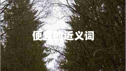 便宜的近義詞