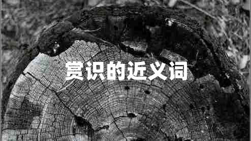 賞識(shí)的近義詞