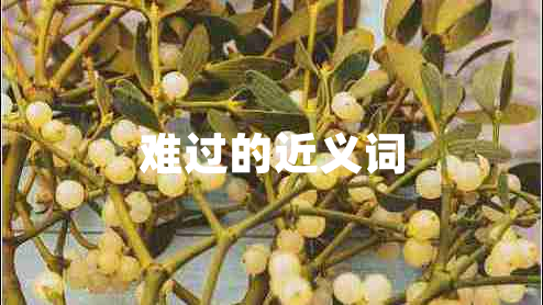 難過的近義詞
