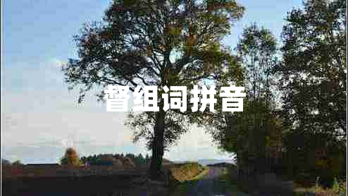督組詞拼音