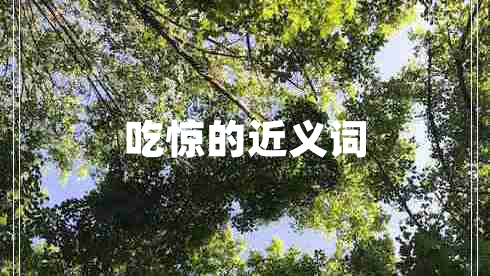 吃驚的近義詞