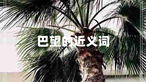 巴望的近義詞