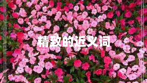 精致的近義詞