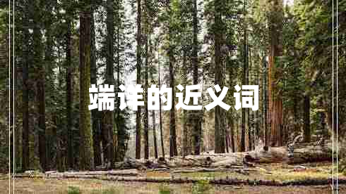 端詳?shù)慕x詞