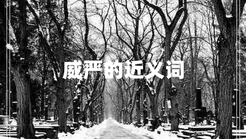 威嚴(yán)的近義詞