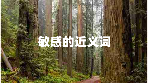敏感的近義詞