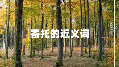 寄托的近義詞