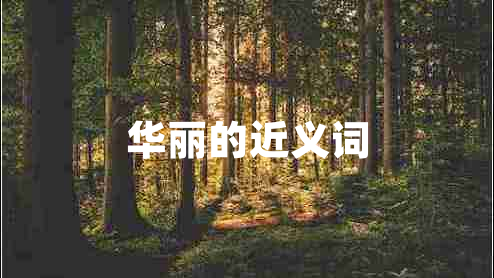 華麗的近義詞