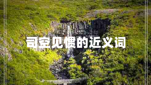 司空見慣的近義詞