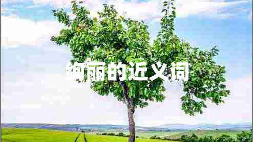 絢麗的近義詞