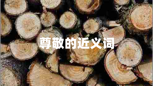 尊敬的近義詞