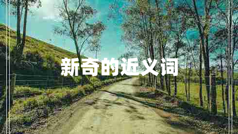 新奇的近義詞