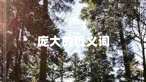 龐大的近義詞