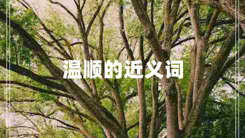溫順的近義詞