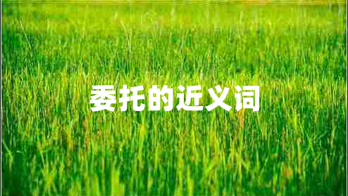 委托的近義詞