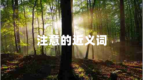 注意的近義詞