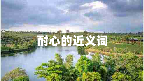 耐心的近義詞