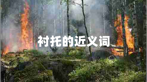 襯托的近義詞