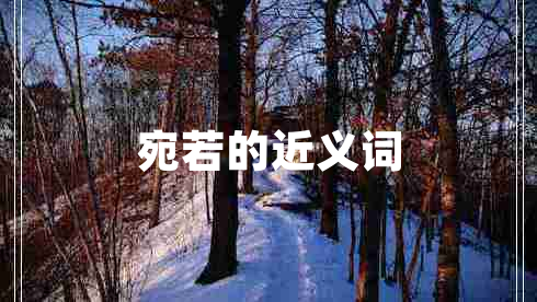 宛若的近義詞