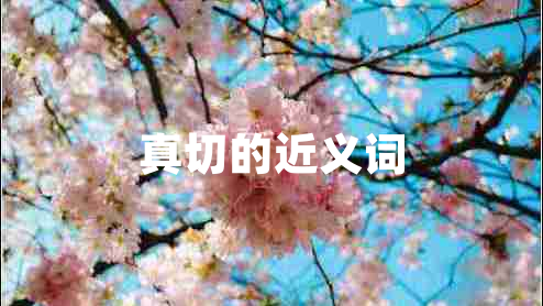 真切的近義詞