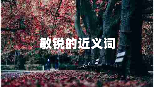敏銳的近義詞