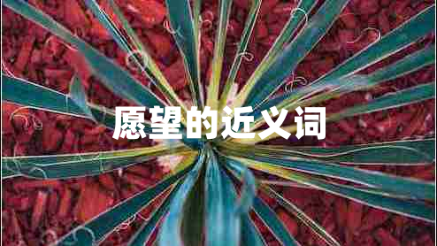 愿望的近義詞