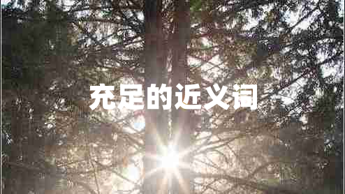 充足的近義詞