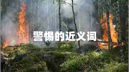 警惕的近義詞