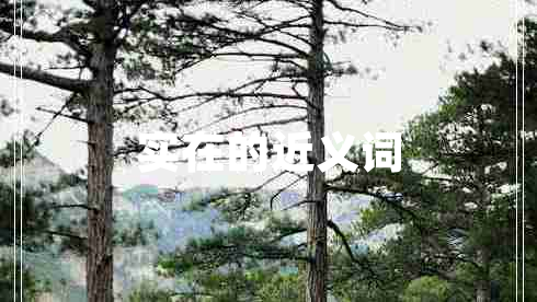 實在的近義詞