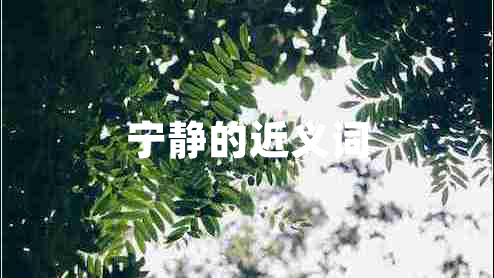 寧靜的近義詞