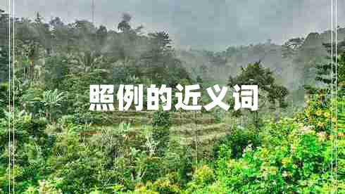 照例的近義詞