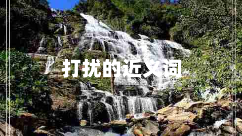 打擾的近義詞