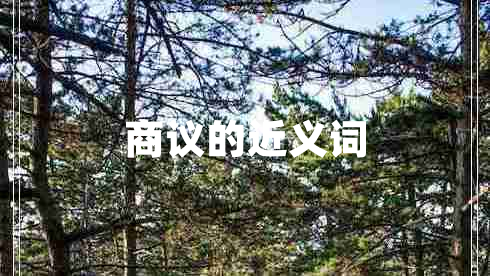 商議的近義詞
