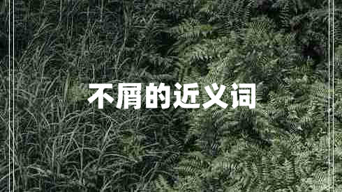 不屑的近義詞