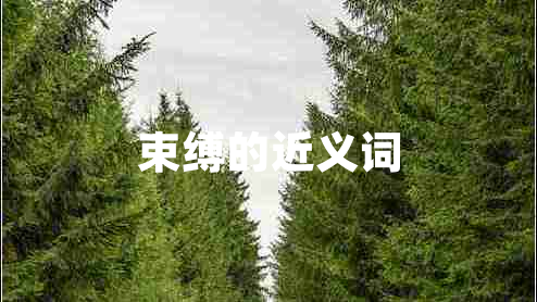 束縛的近義詞