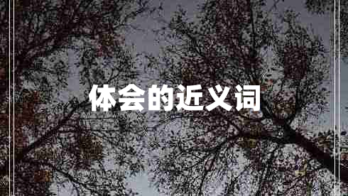 體會的近義詞