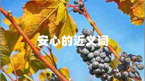 安心的近義詞