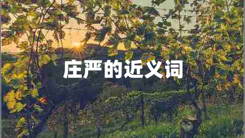 莊嚴(yán)的近義詞