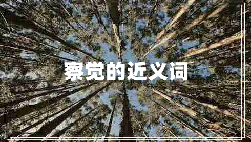 察覺的近義詞