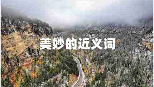 美妙的近義詞