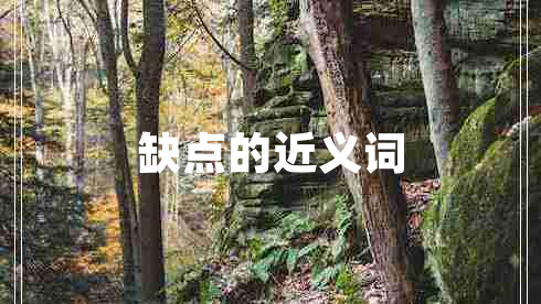缺點的近義詞