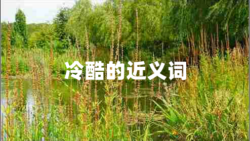 冷酷的近義詞
