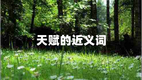 天賦的近義詞