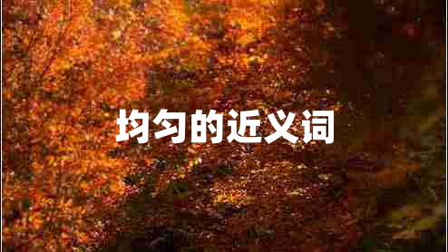 均勻的近義詞